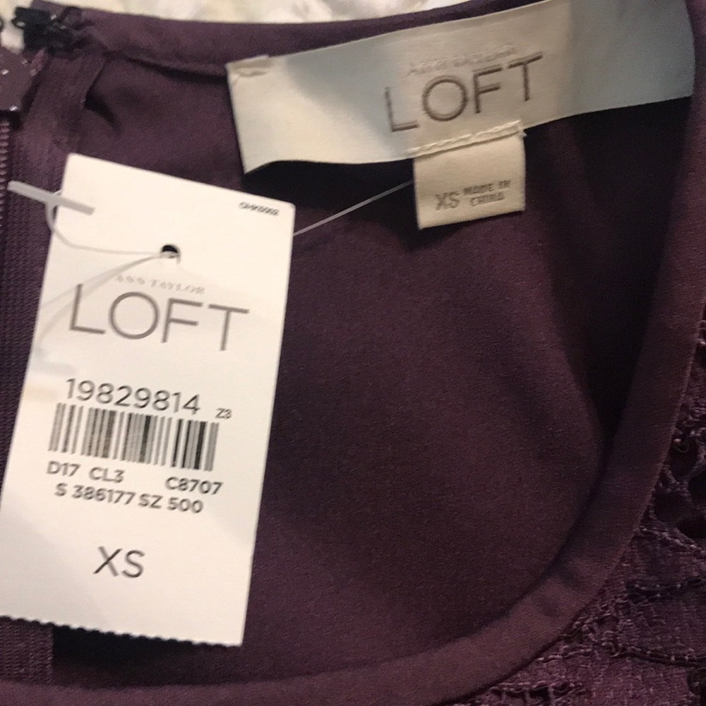 🆕 Loft Eggplant Lace Dress XS - Picture 5 of 6